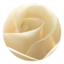 White Rose stickers