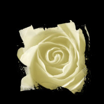 White rose t-shirts