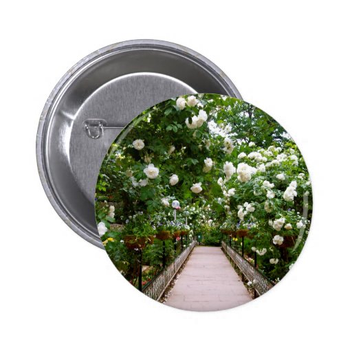 White rose walkway pinback button