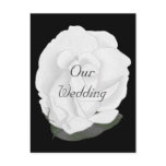 White rose, Wedding Invitation Postcards, Custom