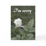 White rosebud apology card