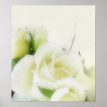 white roses 1 posters