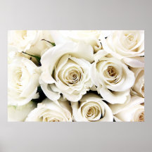 White Roses Poster