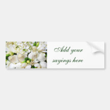 White Roses,Roses of Love_ Bumper Sticker