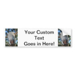 White saanen dairy goat doe nose close up HI Bumper Sticker