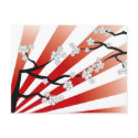 White Sakura Sunrise Cherry Blossoms Postcard