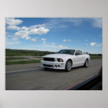 White Saleen Mustang posters