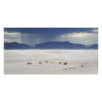 White Sands Customized Photo Card
