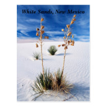 White Sands postcards