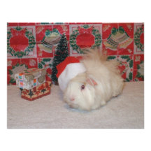 White Santa Pig Custom Announcement