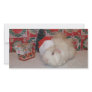 White Santa Pig Photo Cards
