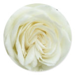 White satin rose close up stickers