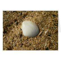 White Shell on the Beach Card