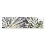 white Silversword flower, Hawaii flowers Bumper Stickers