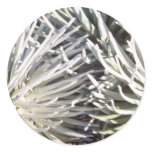 white Silversword flower, Hawaii flowers Stickers