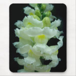 White Snapdragon Mousepad