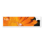 White Spider On An Orange Flower bumper stickers