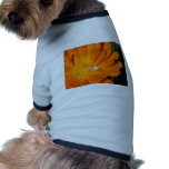 White Spider On An Orange Flower pet clothing