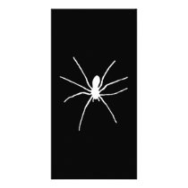 White Spider Photo Cards