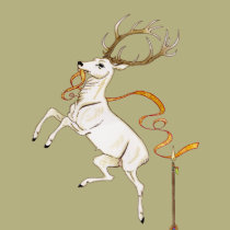 White Stag t-shirts