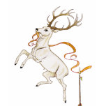 White Stag t-shirts
