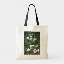 white Star Of Bethlehem, (Ornithogalum Umbellatum) Tote Bags