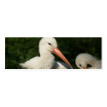 White Stork Business Cards