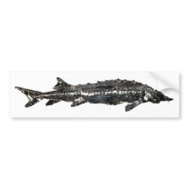 White Sturgeon Gyotaku-40-Item Bumper Stickers