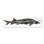 White Sturgeon Gyotaku-40-Item Bumper Stickers