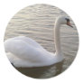 White Swan Close Up Picture Round Sticker