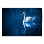 White Swan on Blue Lake Card
