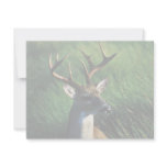 White-tailed Buck invitations