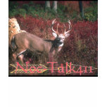 White-Tailed Deer 104027, noc-logo t-shirts