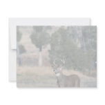 White-tailed deer buck invitations