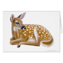 White Tailed Deer Fawn Greeting Card