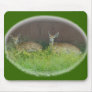 White-Tailed Deer Fawns Mousepad