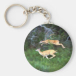 White-tailed Deer Key Chains