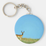 White-tailed deer keychain