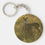 White-tailed deer keychain