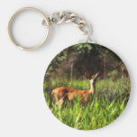 White-tailed Deer Keychain