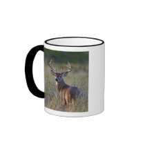 white-tailed deer Odocoileus virginianus) 2 Mug
