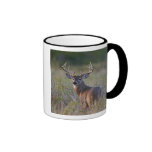 white-tailed deer Odocoileus virginianus) 2 Mug