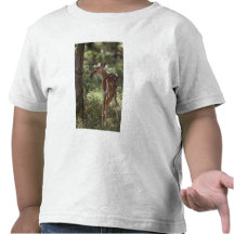 White-tailed Deer, Odocoileus virginianus, 2 Tshirts