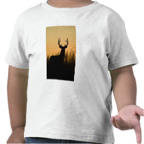 white-tailed deer Odocoileus virginianus) Tees