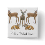 White Tailed Deer Pin