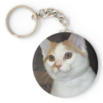 White/Tan Shorthair Shelter Cat Keychain