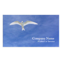 White tern business card