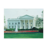 White The White House, Washington, D.C., U.S.A. fl Post Cards