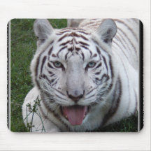 white tiger 2 11x11 mousepad