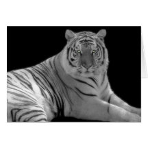 White tiger Birthday Greeting Card